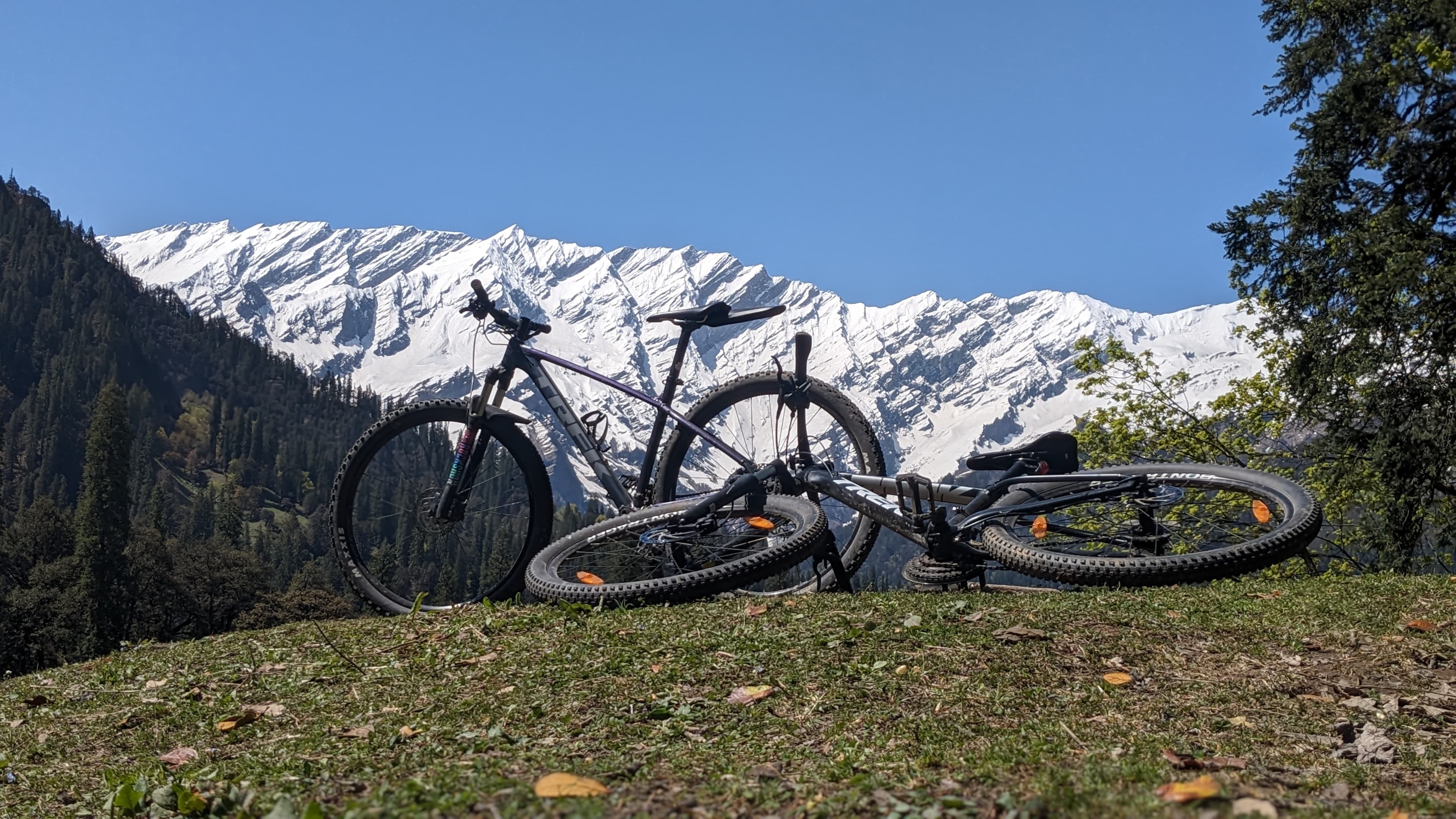 Mountain Bike Beginner Course
