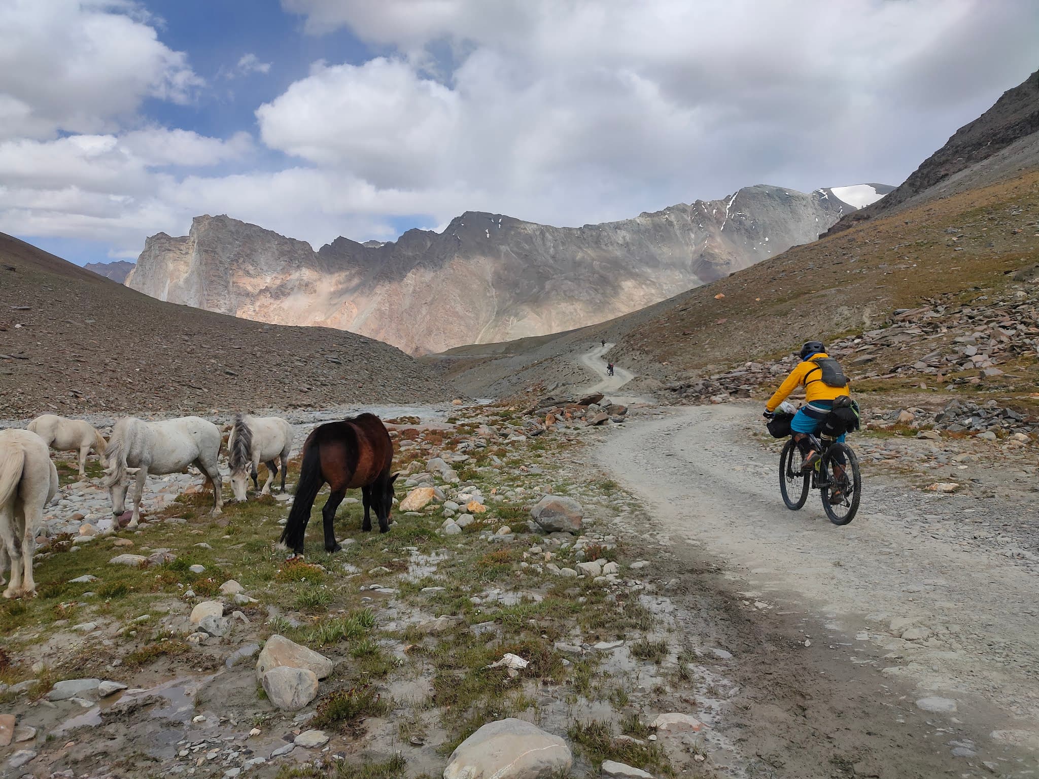 Mountain Bike Trails photo 4